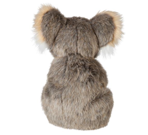 Adelaide Koala