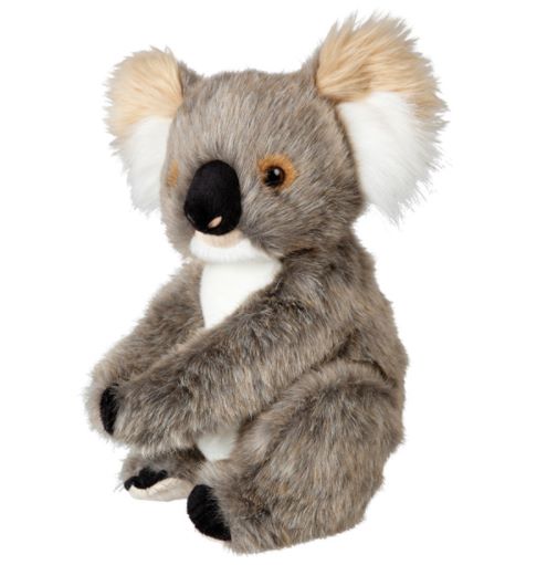 Adelaide Koala